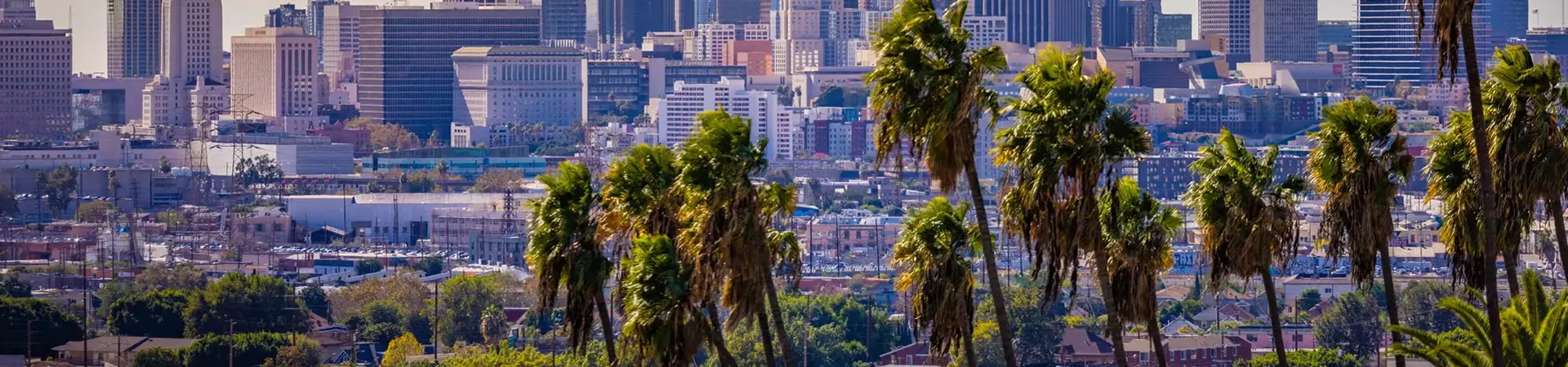 Los Angeles Security Banner