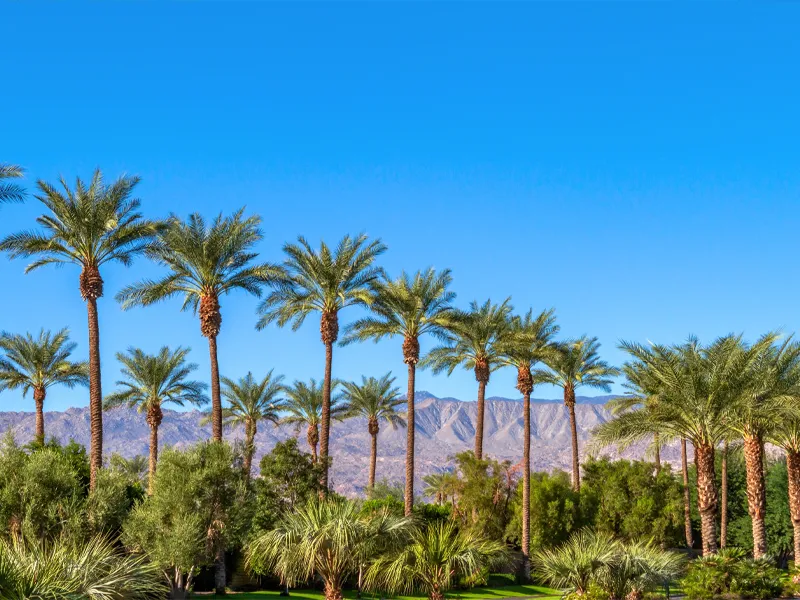 Riverside County’s Pace