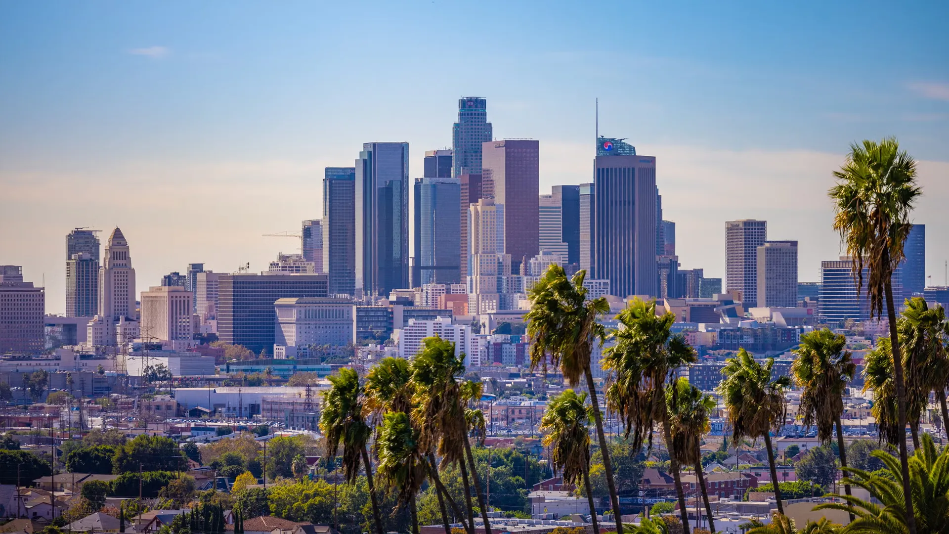 Los Angeles Security Banner
